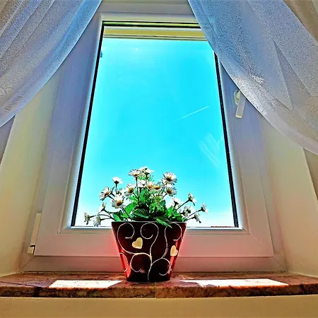 Apartament Tamara *