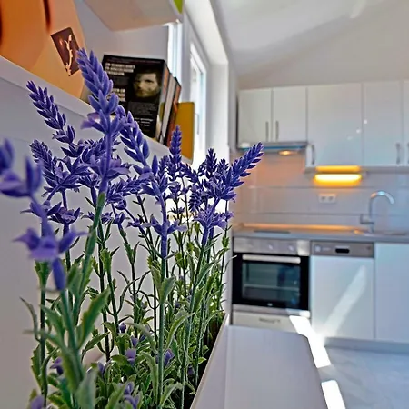 Apartament Tamara *